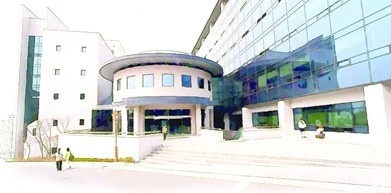 高丽大学国际研究生院