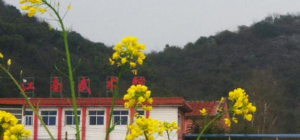 景德镇传统文化职业学校