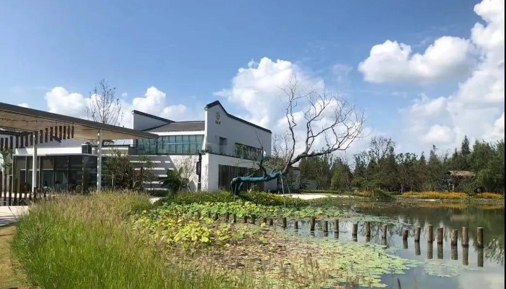 中加枫华国际学校