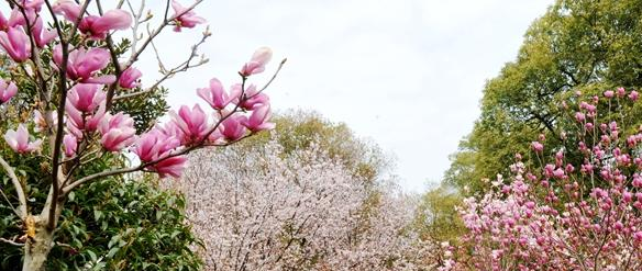 江西生物科技职业学院2019年单招录取分数线