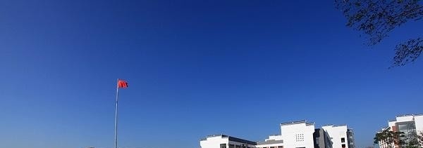 江苏农林职业技术学院2019年单招录取分数线