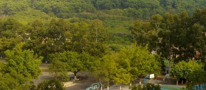 广州增城荔城中学2021年招生计划