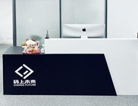 大连码上未来IT培训