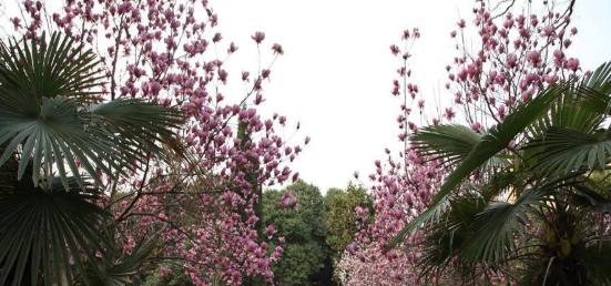 平顶山财经学校