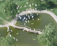 对外经济贸易大学校园一览