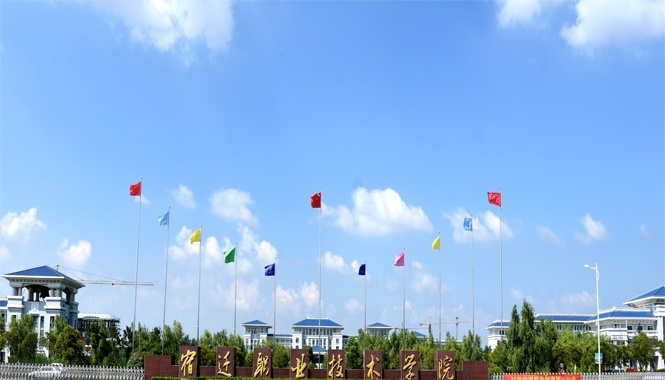 宿迁职业技术学院招2020年有哪些专业