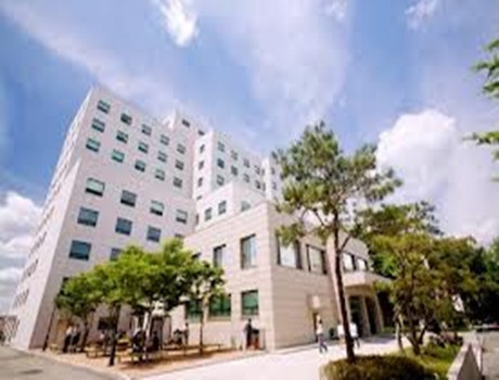 世宗网络大学