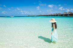 石家庄法语培训配图