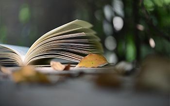 系统分析