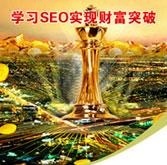 学习SEO实现财富突破