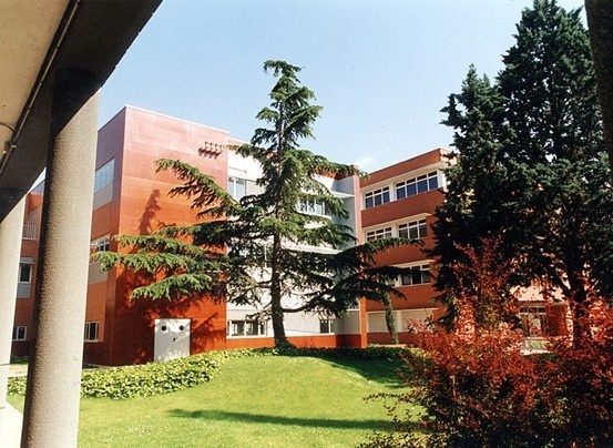 里奥哈大学