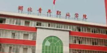 湖北青年职业学院是大专还是中专(湖北青年职业学院)