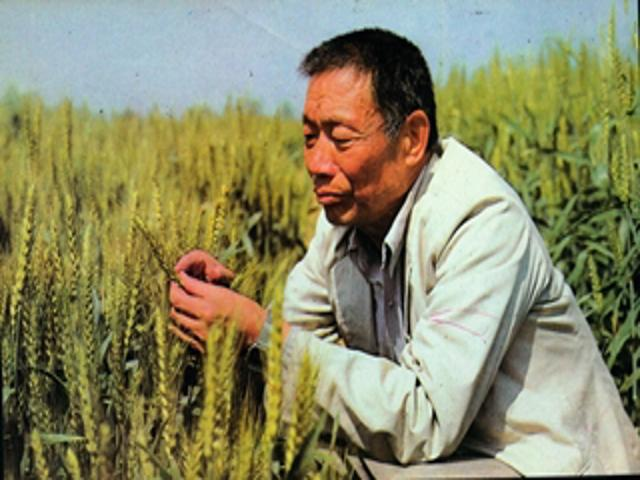 校园风景（四）