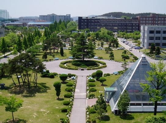 群山大学