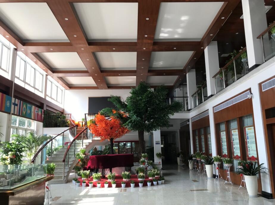 上海金苹果双语学校内部环境.jpg