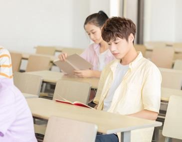 团队优势