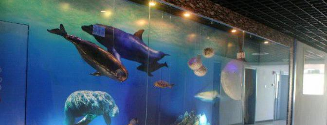 北京五十五中学国际部