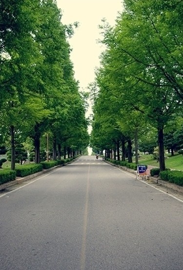 群山大学