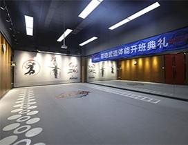 南京菲动武道体能