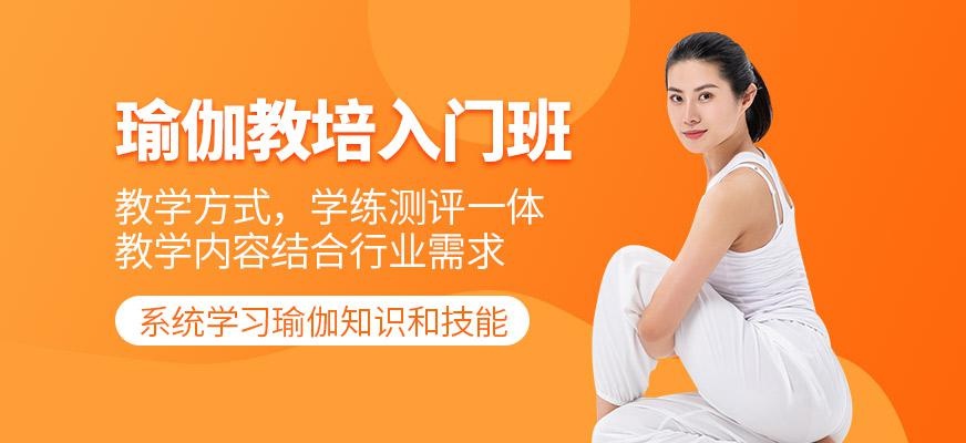 瑜伽教培入门班