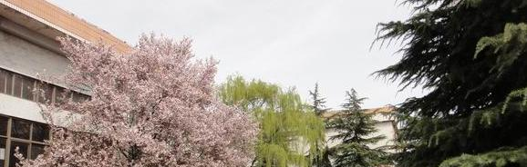 登封中等专业学校