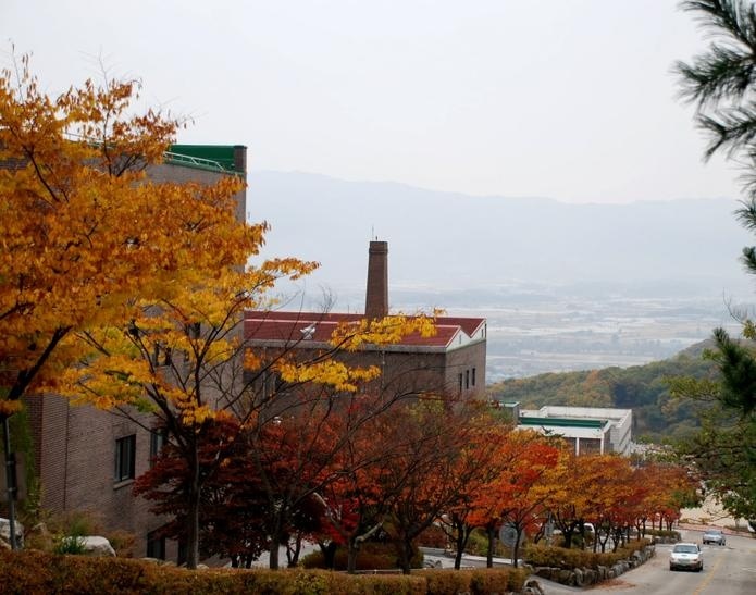大真大学