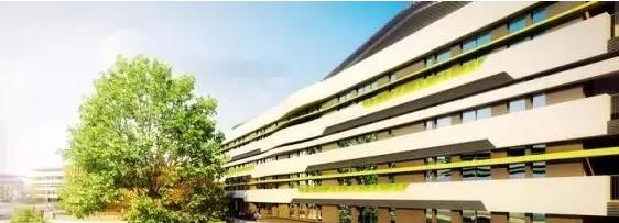 2023年上海帕丁顿双语学校小学部入学条件