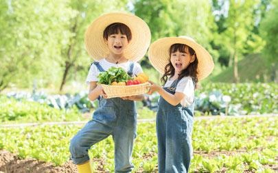 招生人数