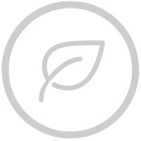新通gre班配图