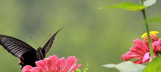 黄山旅游管理学校