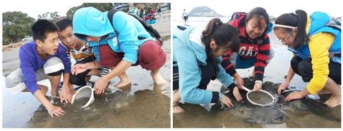 海滩探险