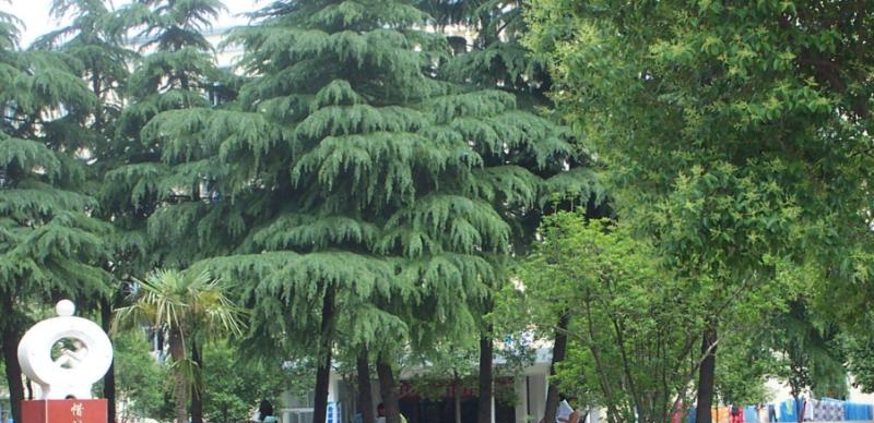 河南驻马店财经学校