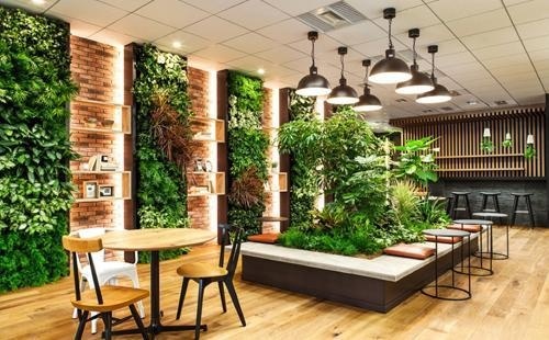 中育贝拉国际高中