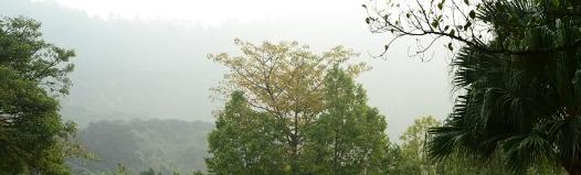 深圳东方英文书院2023年报名条件、招生要求、招生对象