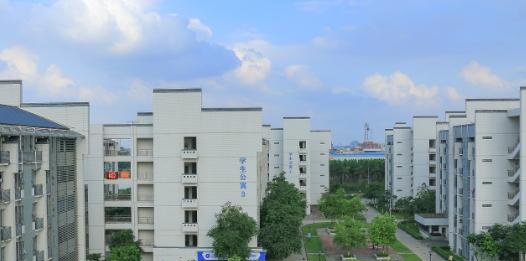 广东职业技术学院2020年有哪些专业