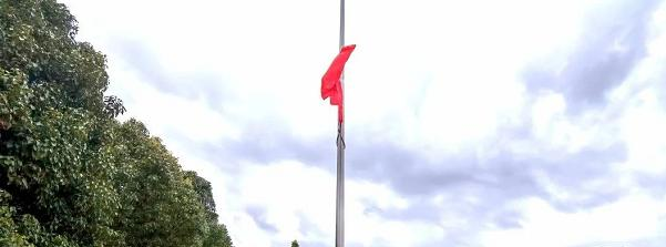 截图_20211116125615