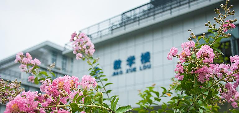武汉职业教育中心网站