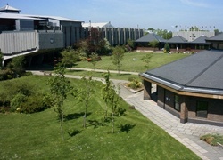 圣马克与圣约翰大学