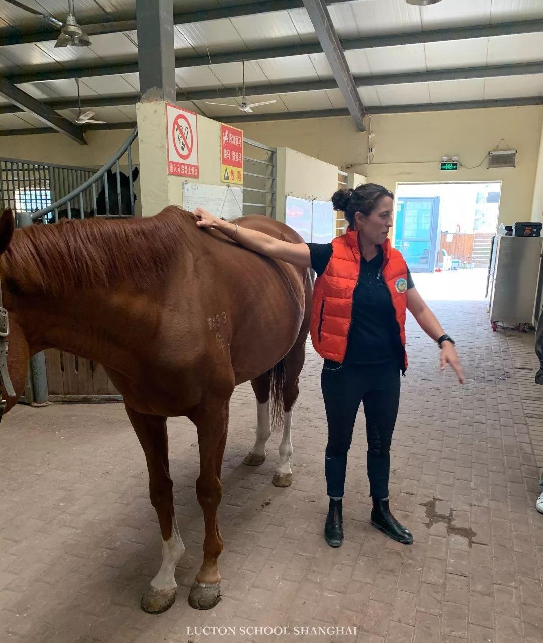 马术课.jpg