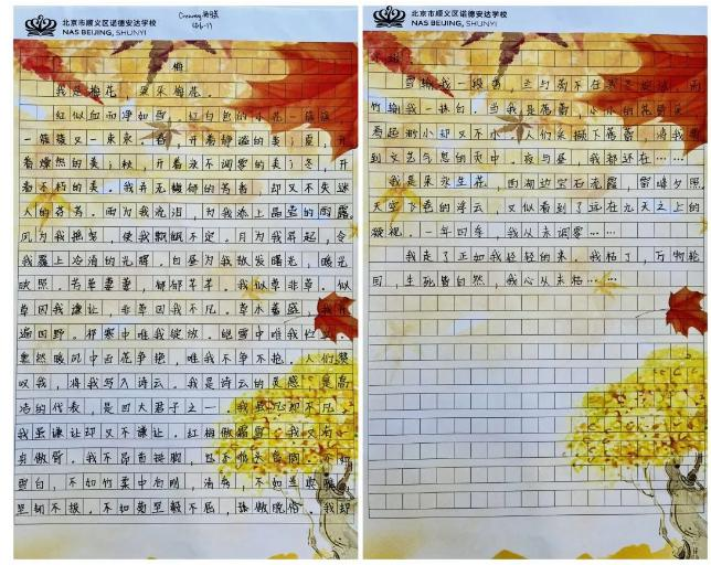 顺义诺德安达