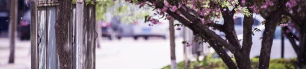 广饶县职业中等专业学校2022年学费、收费多少