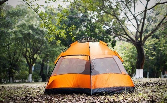 11岁孩子赴美夏令营都需要什么