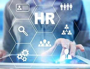 人力资源管理师