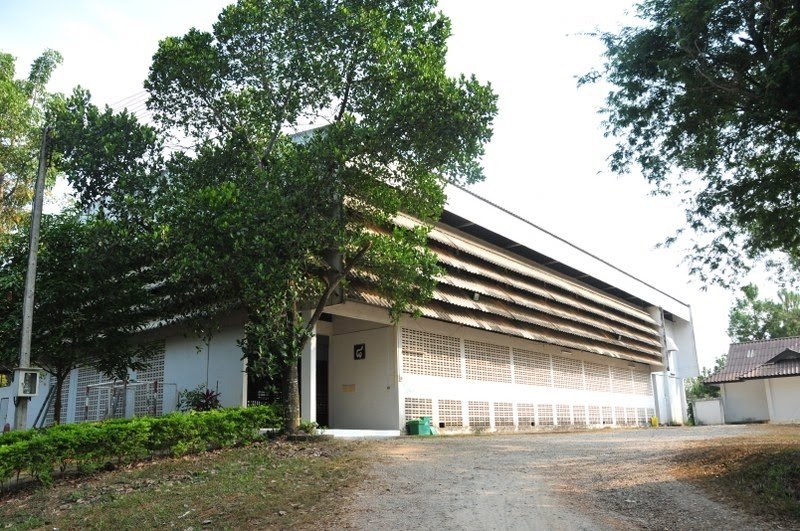 清莱皇家大学