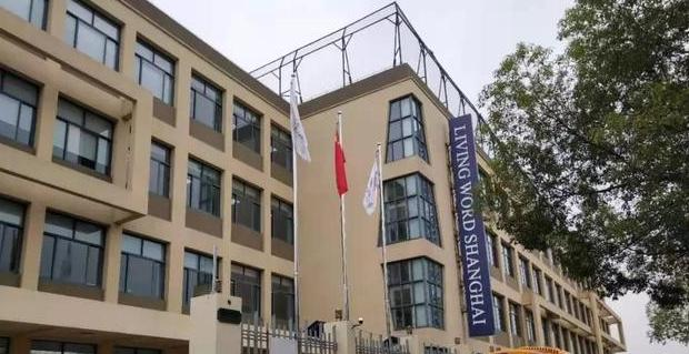 2023年上海美国国际学校小学部课程体系