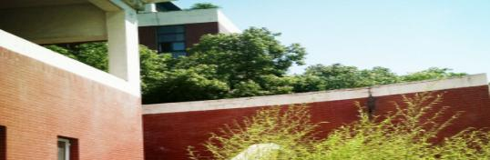 安徽中澳科技职业学院2020年有哪些专业