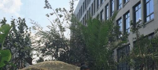 舟山普陀區(qū)職業(yè)技術(shù)教育中心