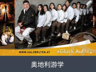 瑞士莱蒙尼亚学院 & 瑞士福坦学院
