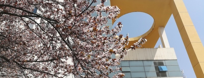  铜川市技工学校2022年学费