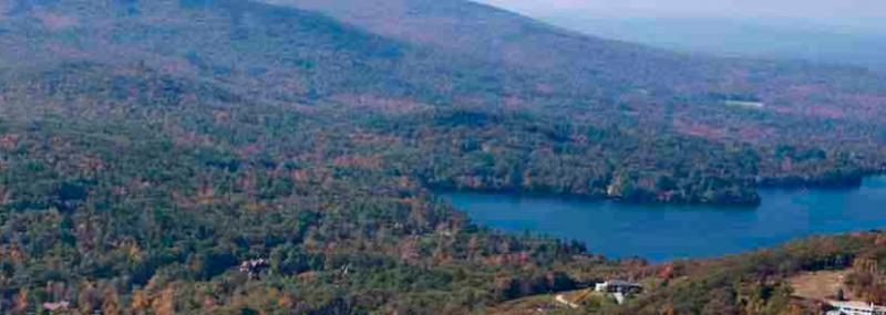 北京中关村外国语学校小学部地址在哪里